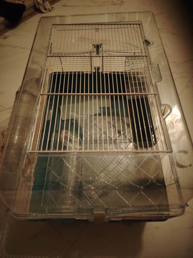 Hamster cage 