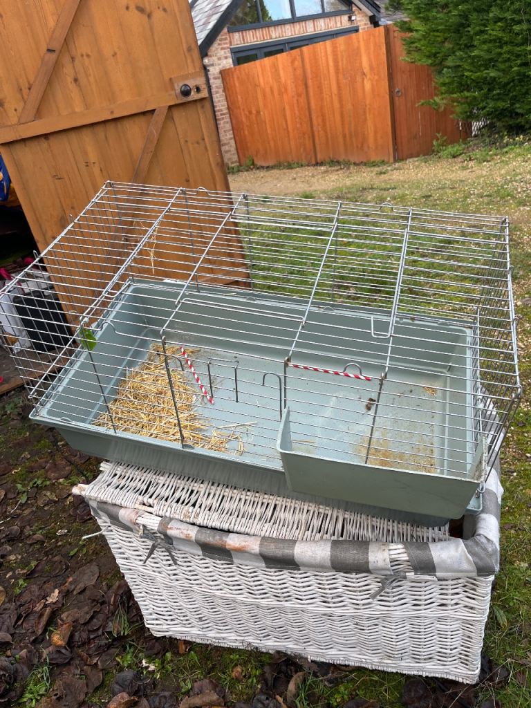 Rabbit small furry cage 