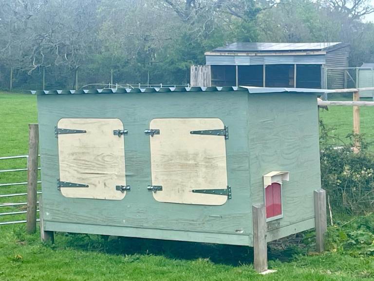 Large chicken house for sale 