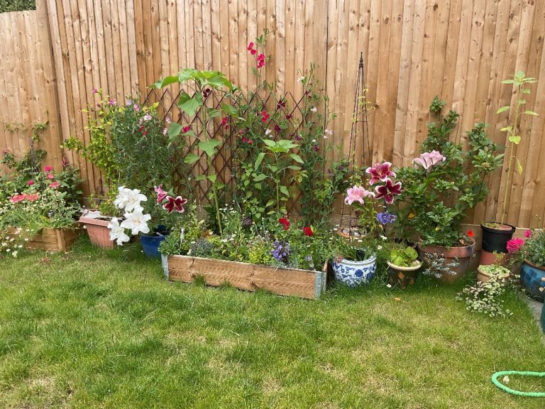 Raised bed