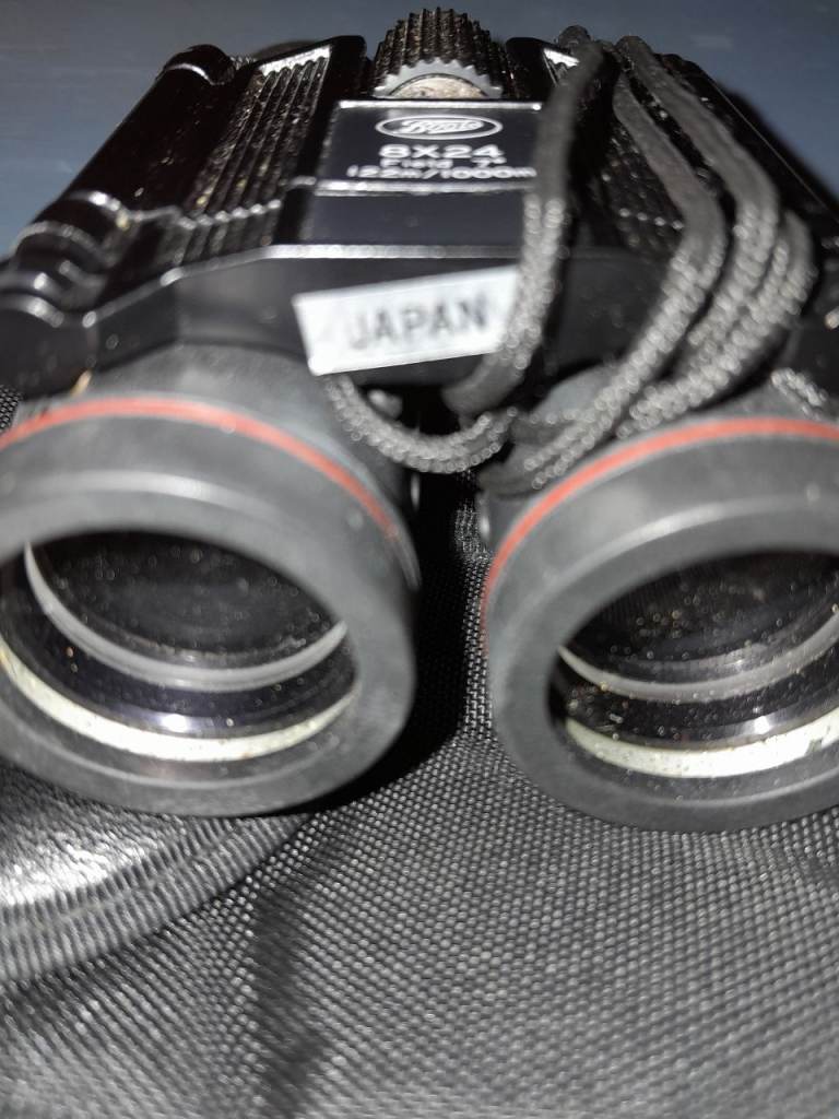 Small Pair Binoculars  