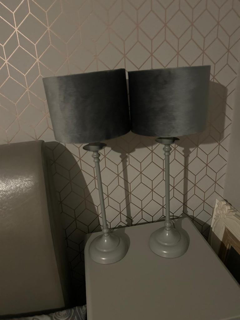 Pair of Grey Table Lamps with Velvet Shades