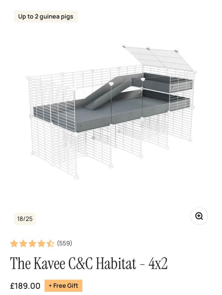 Guinea pig cage 