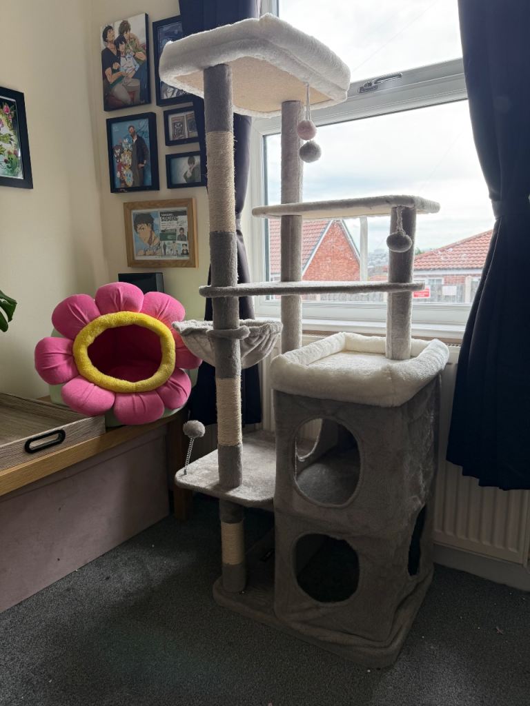 Cat tower and flower bed 