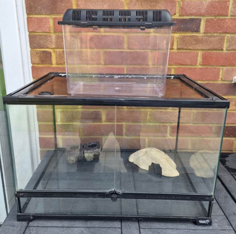 2 x terrariums