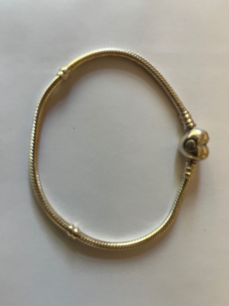 Pandora Bracelet 