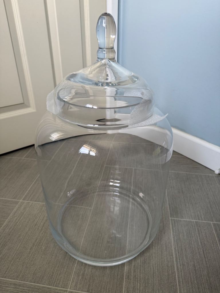 Glass Terrarium