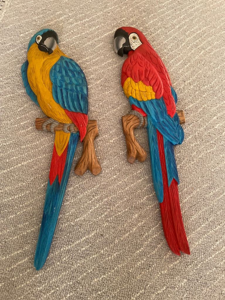 Colourful Parrot Wall Decor