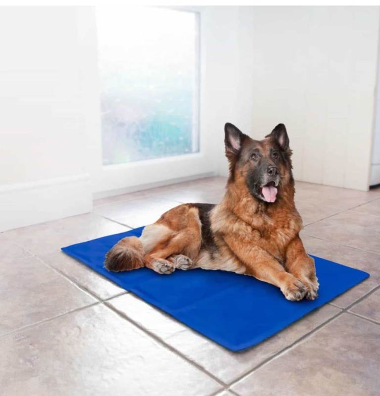 X Large Blue Pet Cooling Mat for Dogs and Cats