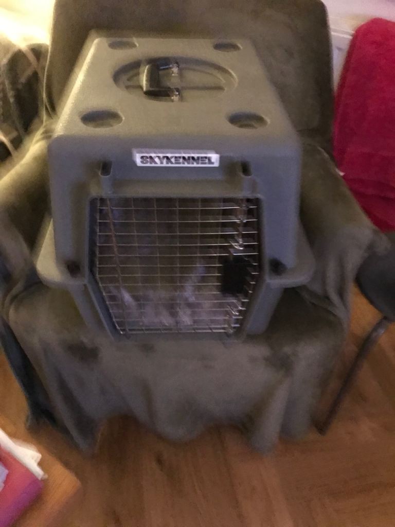 Pet carrier Sky Kennel