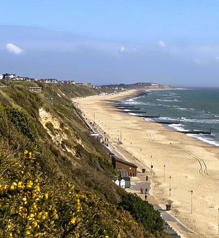 Large, luxurious studio in Southbourne