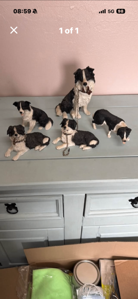Small bundle of Leonardo collies 