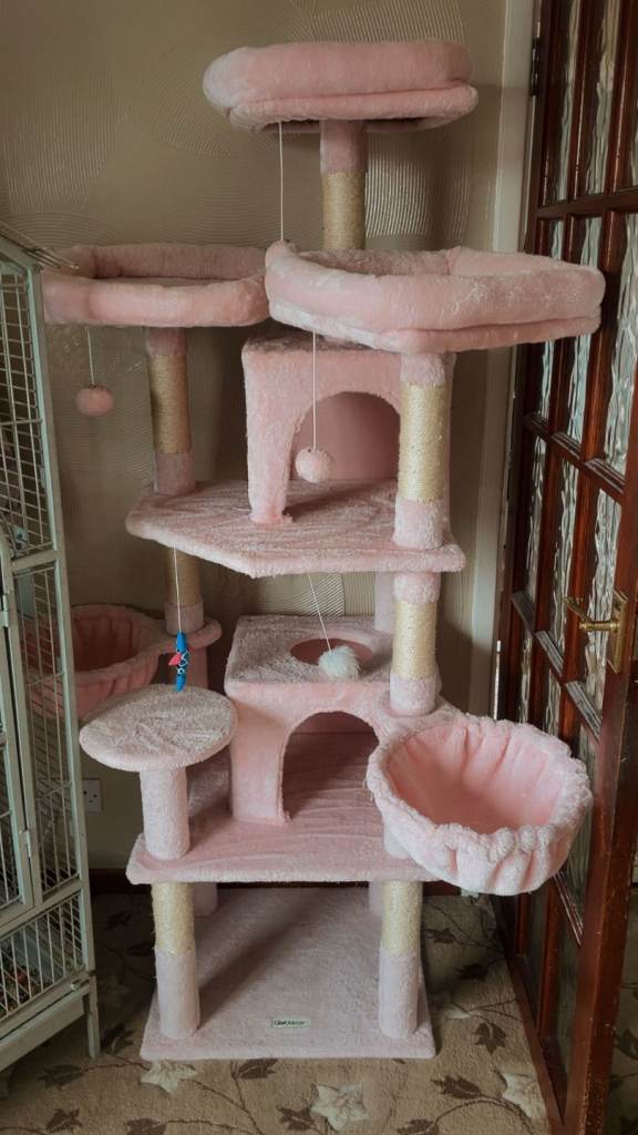 Big cat tower
