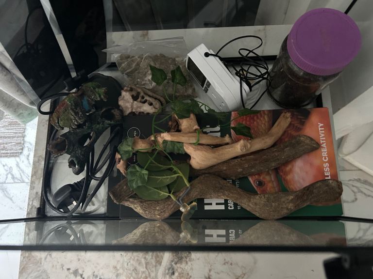 Terrarium/fish tank/paludarium/vivarium for sale