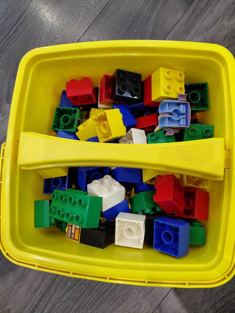 Duplo in carry tub