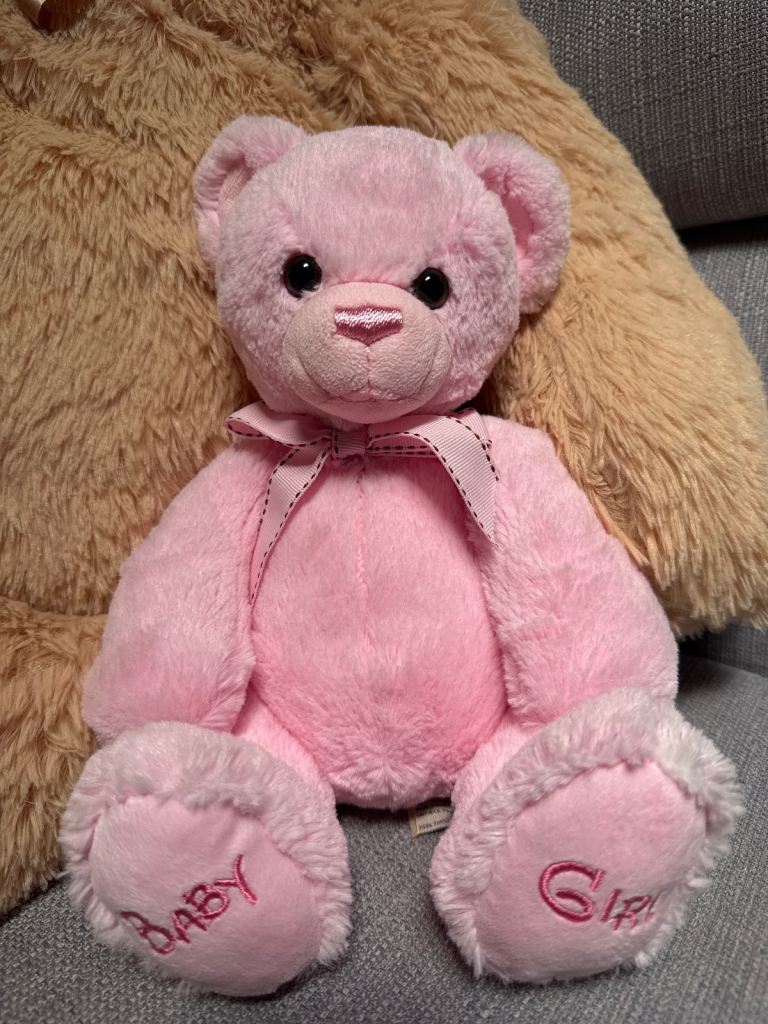 image for Baby girl gift teddy bear 