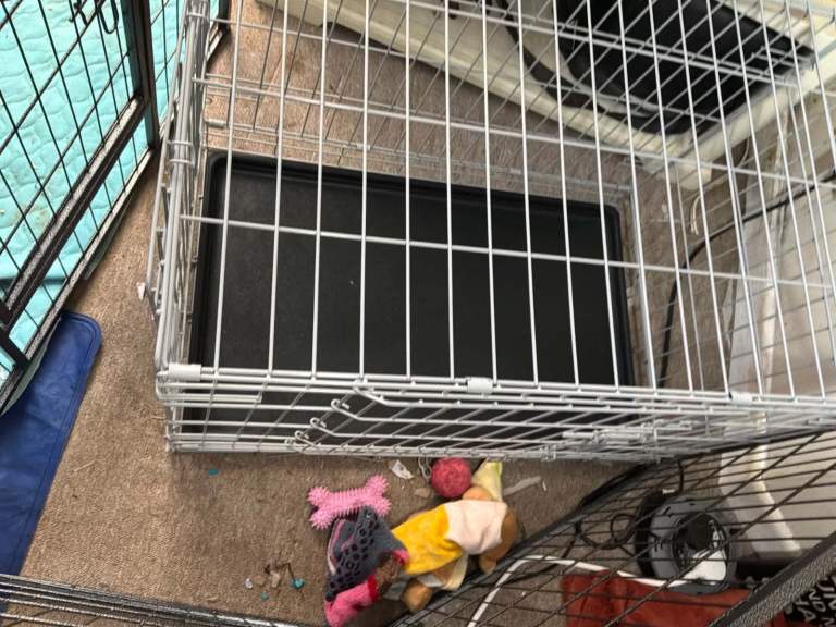 Very large dog cage 