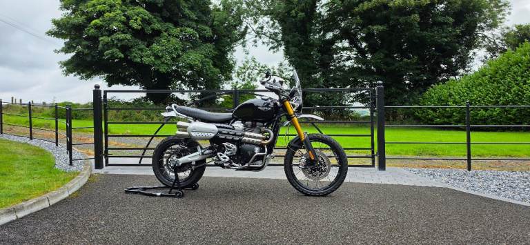Triumph, SCRAMBLER, 2021, 1200 (cc)