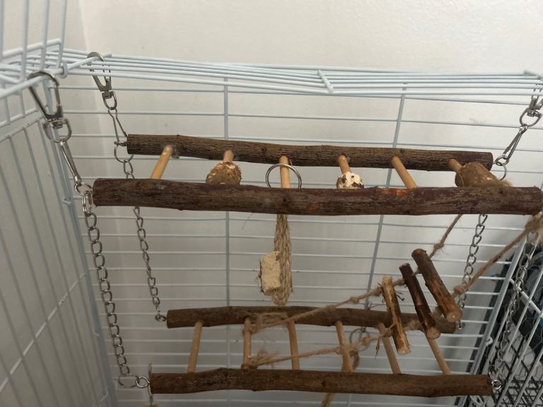 wooden bird toys for sale 