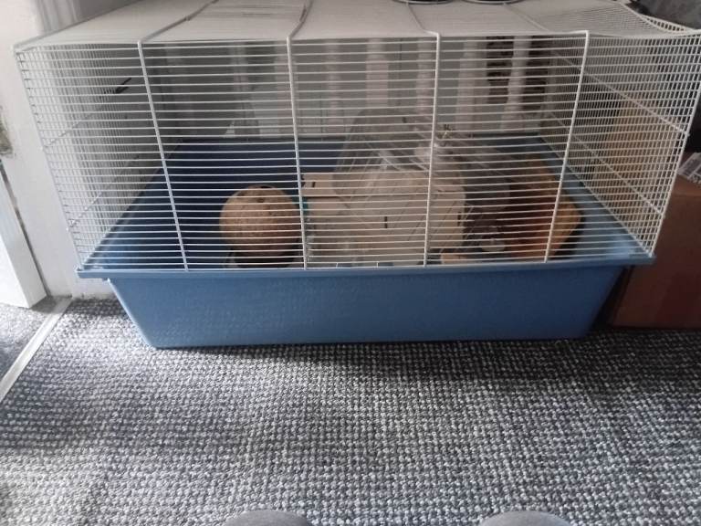Hamster cage & accessories 