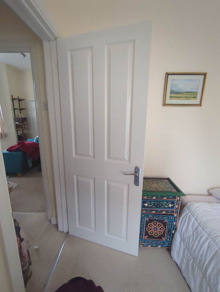 Wooden white internal door