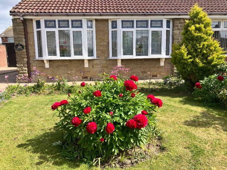 BUNGALOW FOR SALE