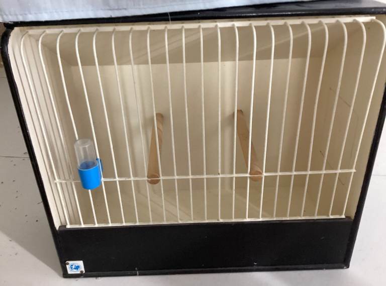 Budgie Show Cages