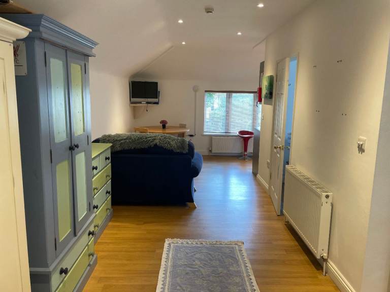 Wish you could have a dog but can't commit?