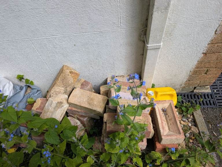 Free Bricks - Collection Only