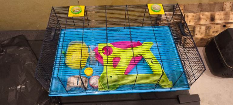 Large hamster cage, bedding, accessories 