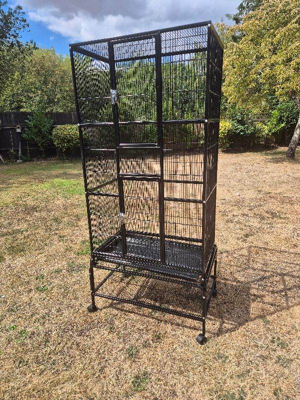 Bird Cage
