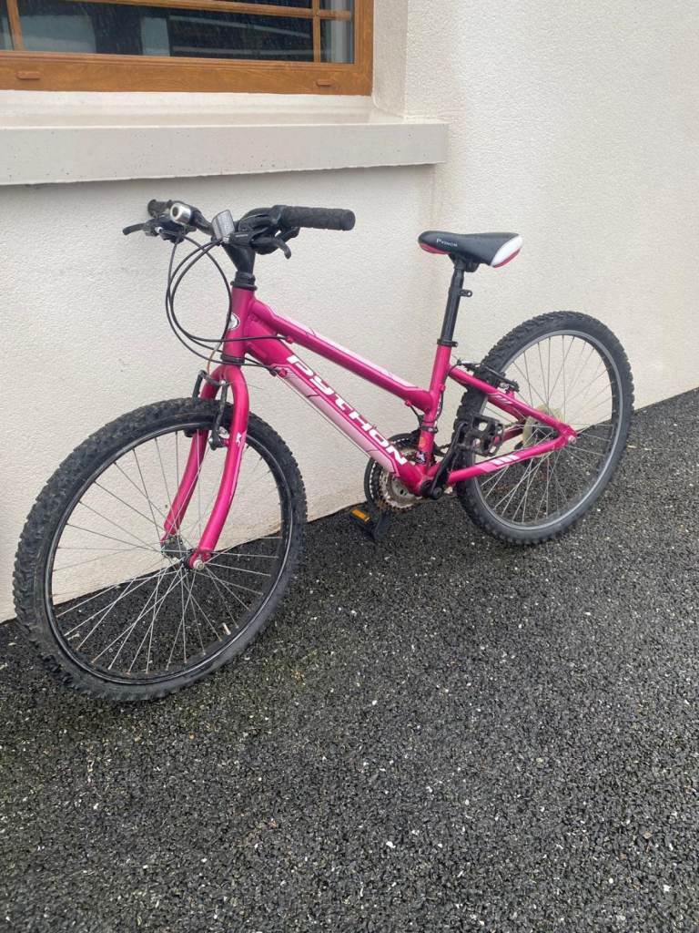 Pink Python bike