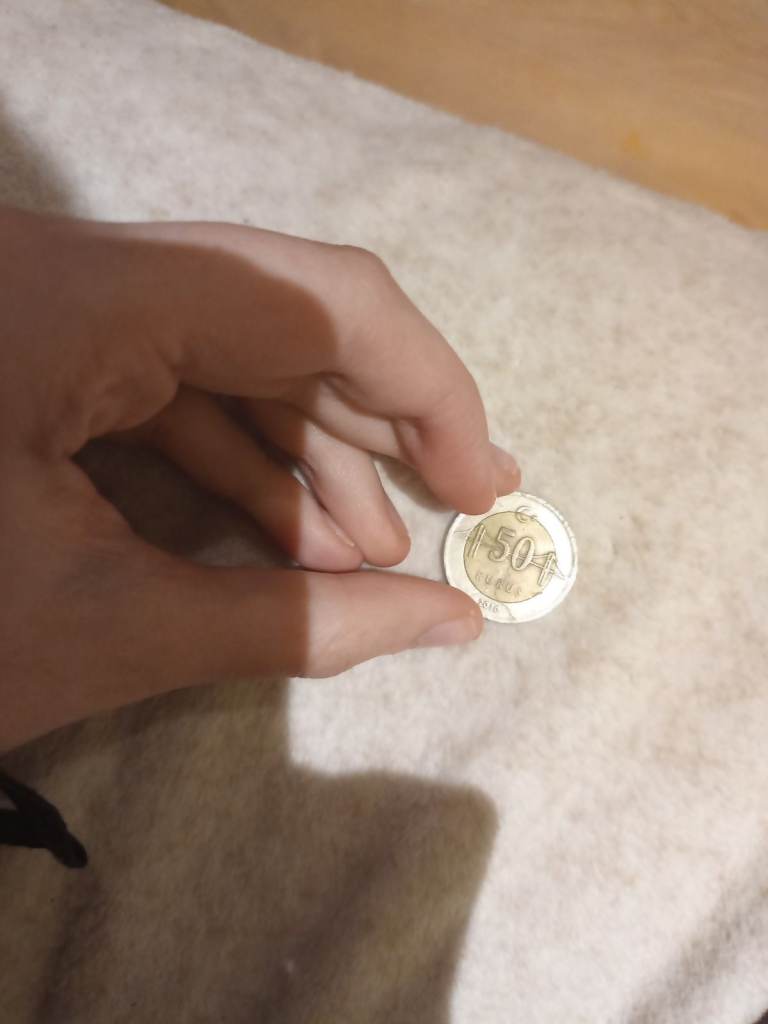 2010 turkish lira 50 kurus