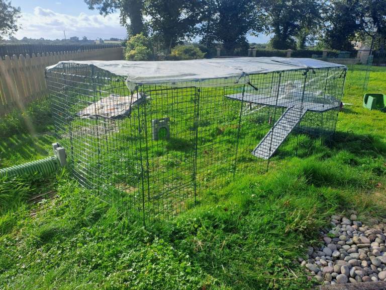 Large Omlet Rabbit Run and Accessories