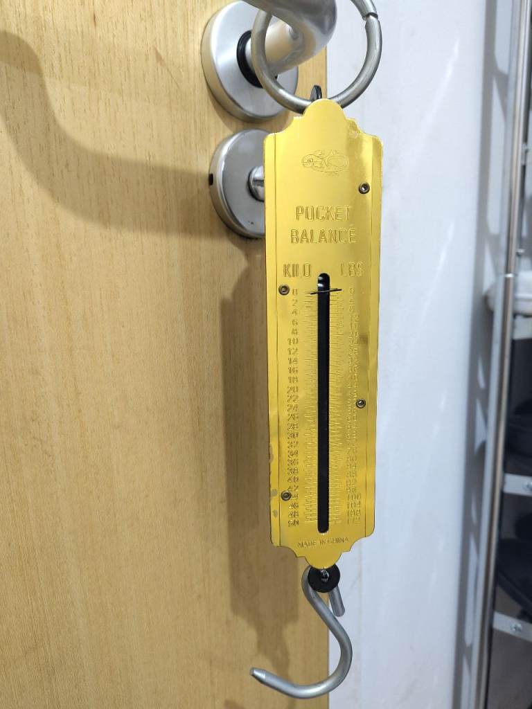 Spring Balance Hanging Hook Scale