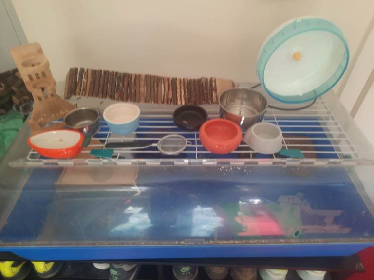 2 Hamster Cages with Accessories
