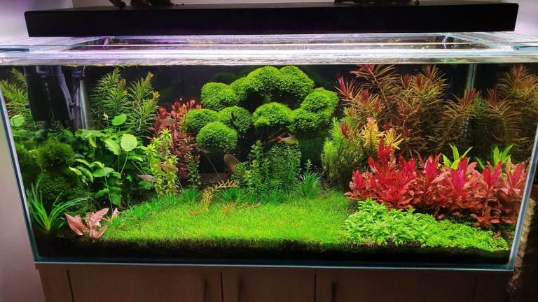 Aquarium