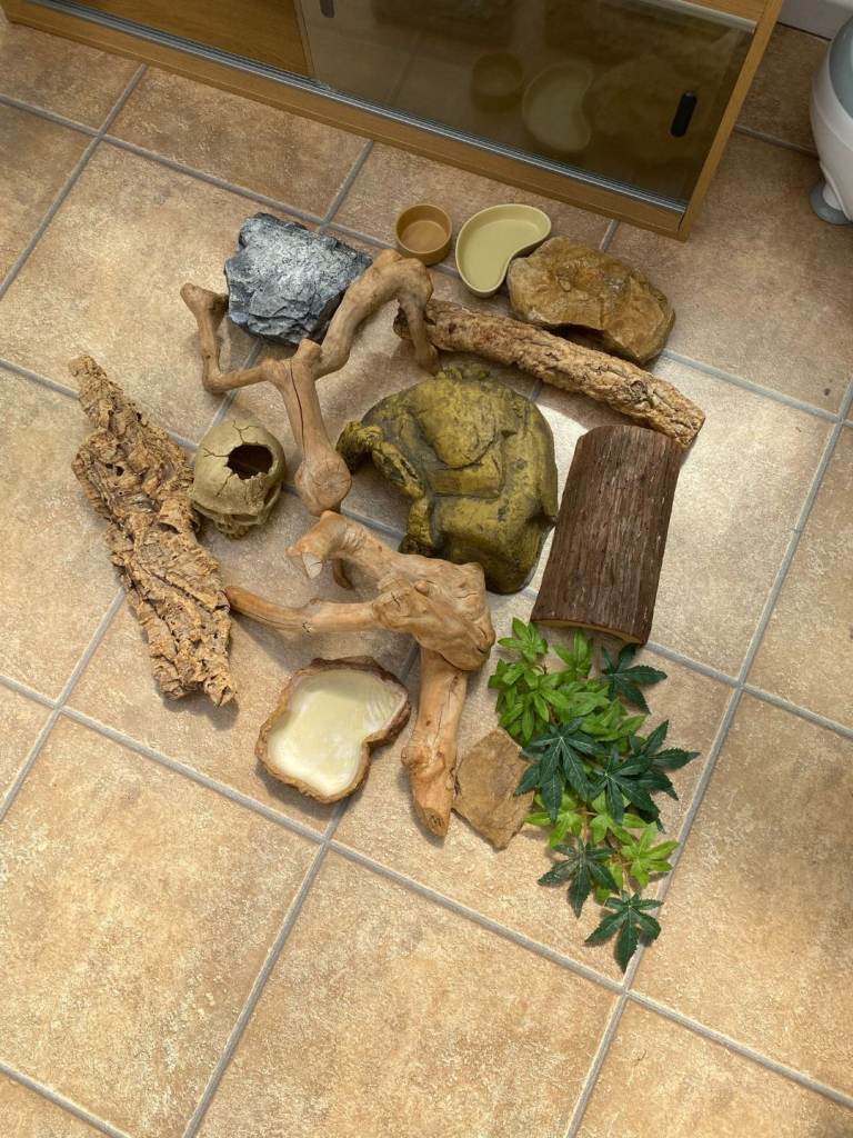 Vivarium 
