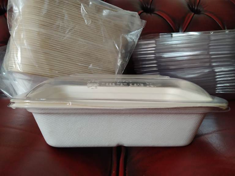 Biodegradable Food Containers with Clear Lids - approx 40