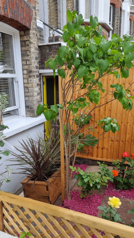 CRYSTAL PALACE FOR 2/3 BEDROOM HOUSE MOST SOUTH EAST AREAS 