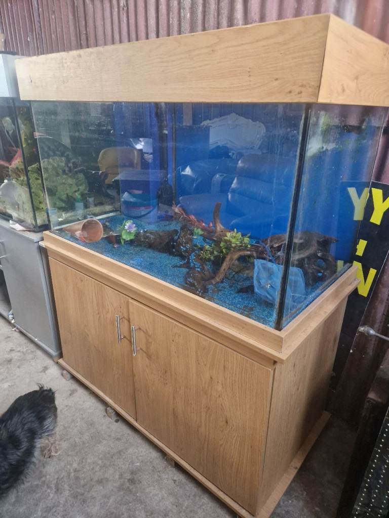 Fish tanks x2