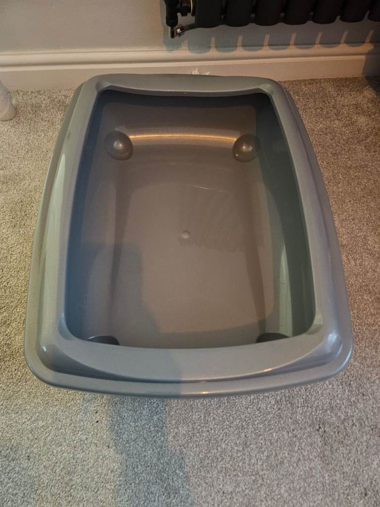 Cat Kitten litter tray