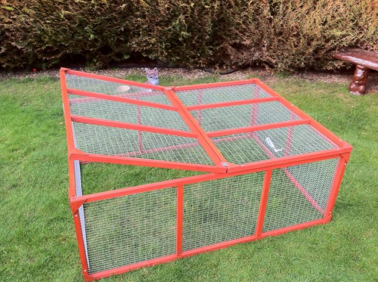 New Rabbit or Guinea Pig Run