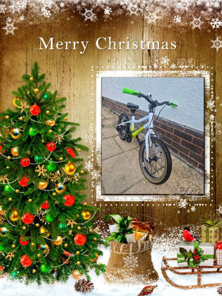 image for Pinnacle koto 16 kids bike 