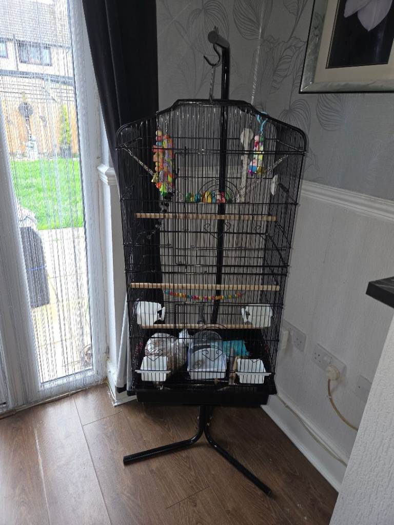 Bird cage, stand, food and accessories 
