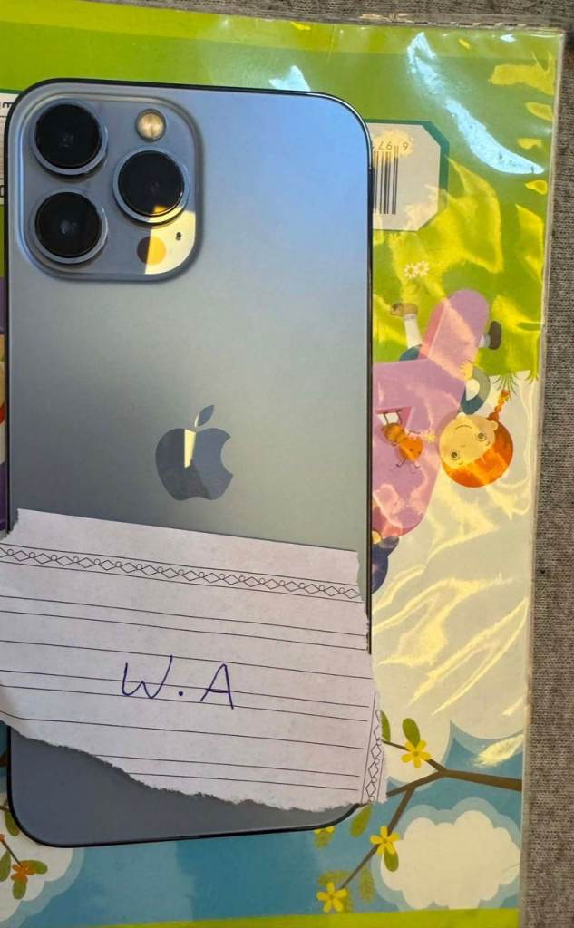 iPhone 13 Pro Max 256gb Unlocked