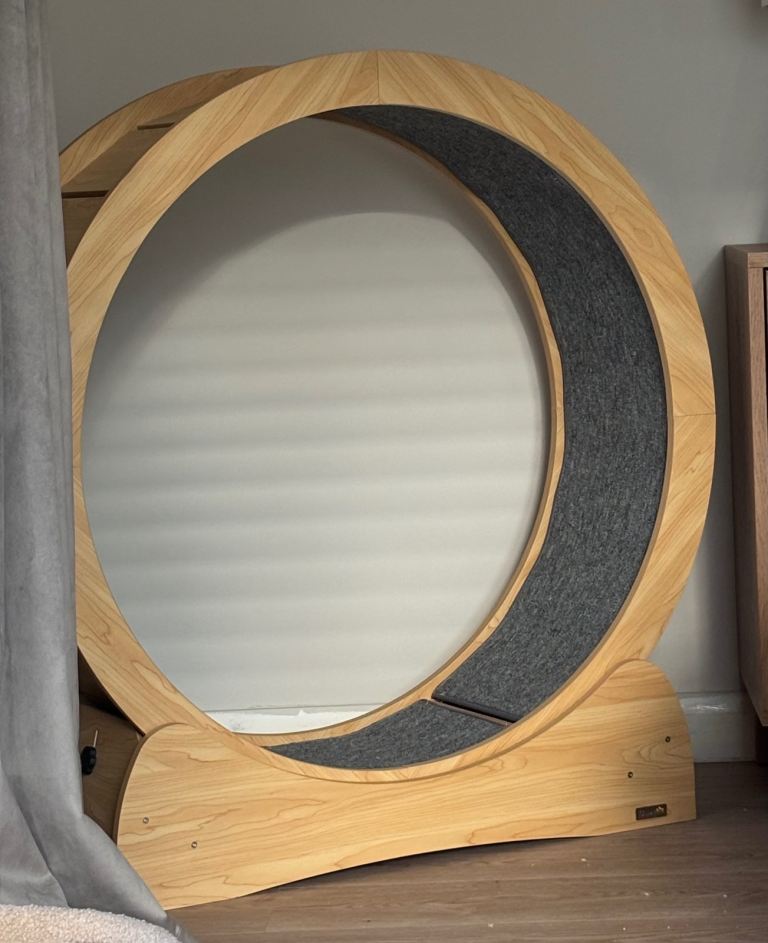 Cat exercise wheel