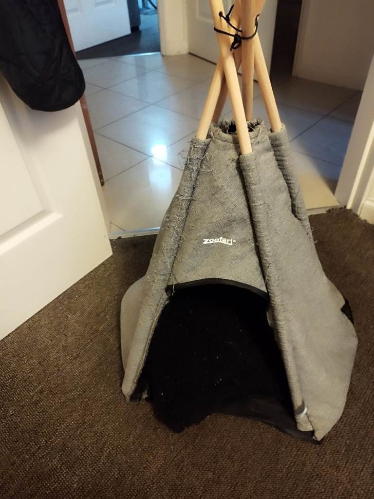 Cat tent & Cat play tunnel