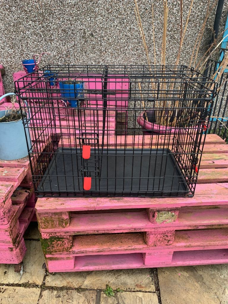 Kong medium dog crate with divider