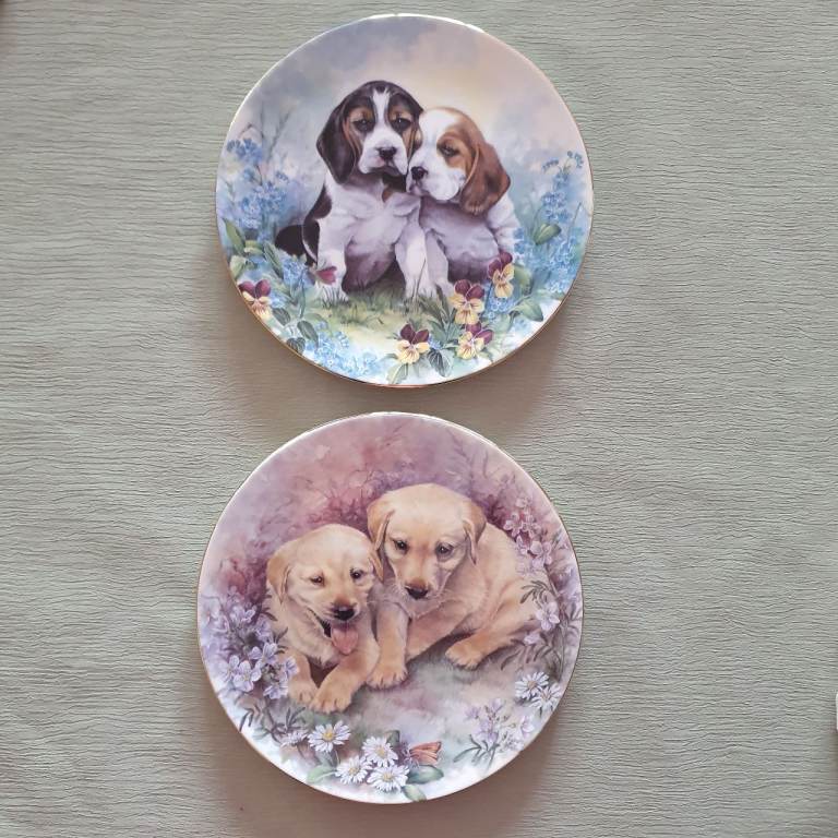Pair of Royal Grafton Fine Bone China Puppy Collector Plates Labrador & Beagle